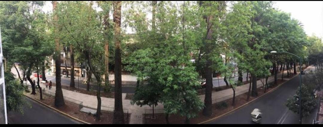 Condesa Caribe Vintage Daire Meksika Dış mekan fotoğraf